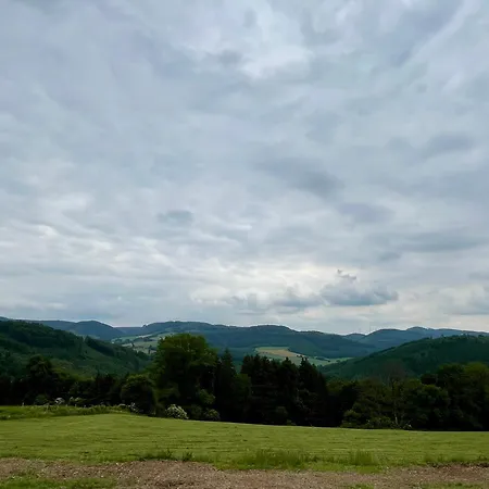 Am Vogelsang * Meschede